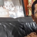 Teguh Santosa SJ: Kayu Indonesia Impor dari Eropa